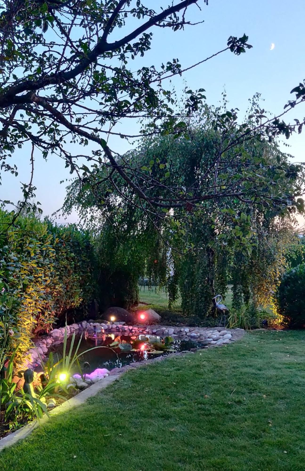 Hillside Homestay Near Luzern By Menbergs Harmony Homestay Hildisrieden Kültér fotó